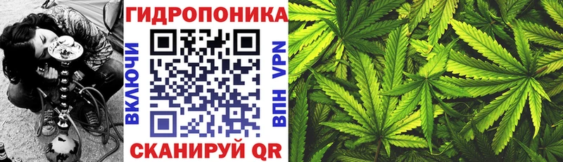 Наркошоп купить Конопля  Псилоцибиновые грибы  СК  ГАШ  МЕФ  Трубчевск