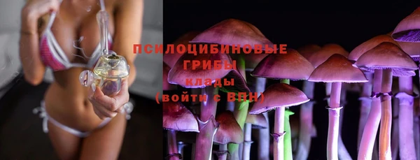 хмурый Новодвинск