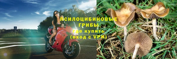гашиш Арсеньев